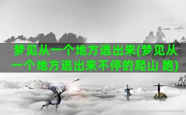 梦见从一个地方逃出来(梦见从一个地方逃出来不停的爬山 跑)